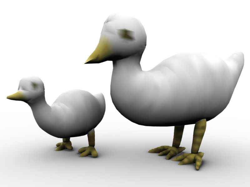 Image Ducks01